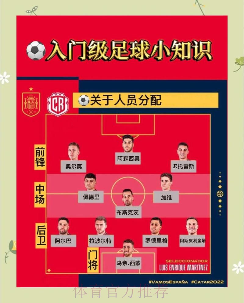 深入解读世界杯投注中的稳定热门策略