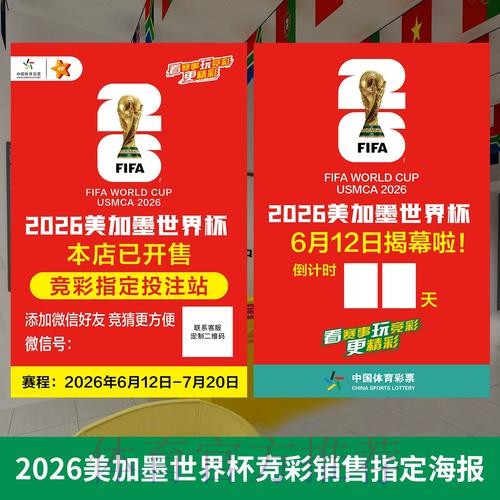 世界杯投注全方位解析：完整教程与入口指南